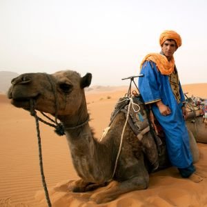 tour deserto marrakech marocco a fes