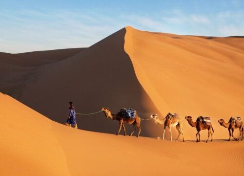 Tour Deserto 3 Giorni da Marrakech a Fes