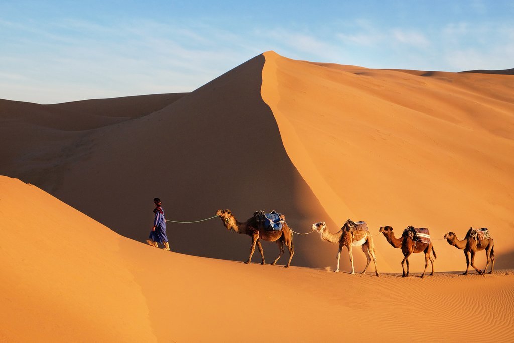 Tour Deserto 3 Giorni da Marrakech a Fes