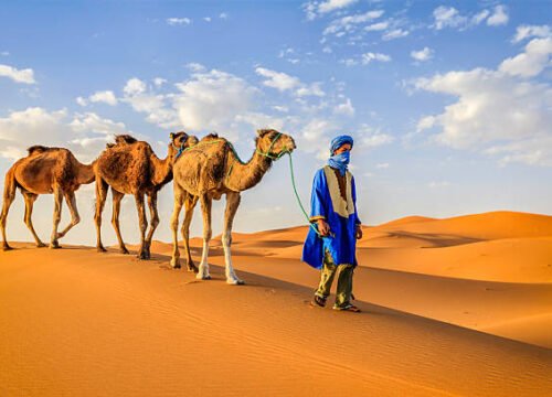 Giro in cammello di una notte a Merzouga