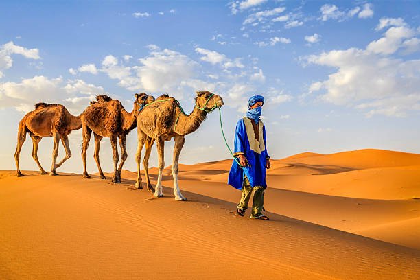 Giro in cammello di una notte a Merzouga