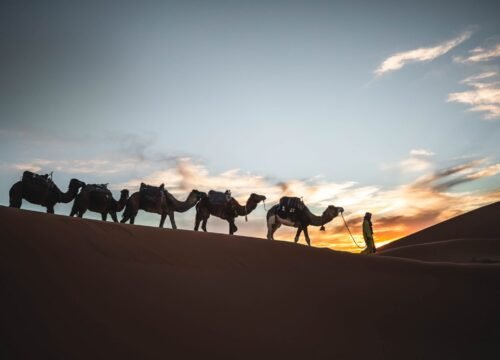 Temperatura in Marocco a marzo: Deserto del Sahara e Marrakech